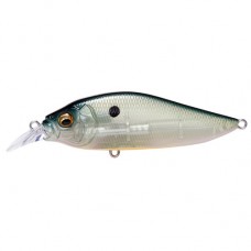 FLAP SLAP LBO | PM GHOST CHART SHAD